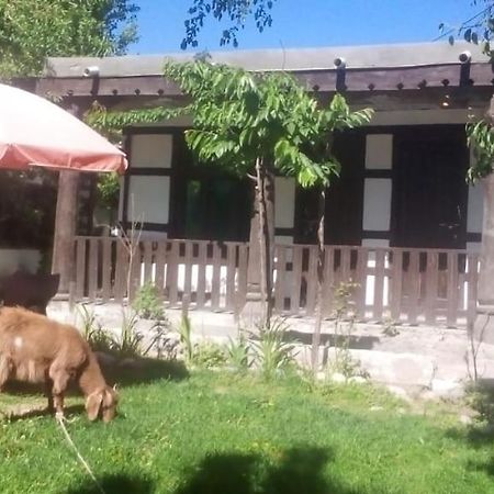 Resort Little Tibet Skardu Exteriör bild